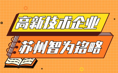 蘇州企業(yè)服務(wù)公司助力高新企業(yè)認(rèn)定 知識產(chǎn)權(quán)指標(biāo)評價檔次詳解與服務(wù)指南